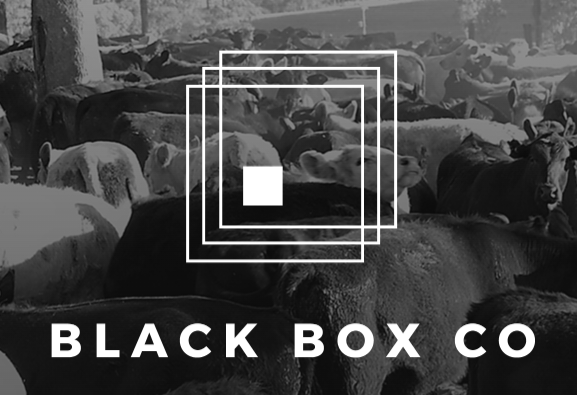 Black Box Co.